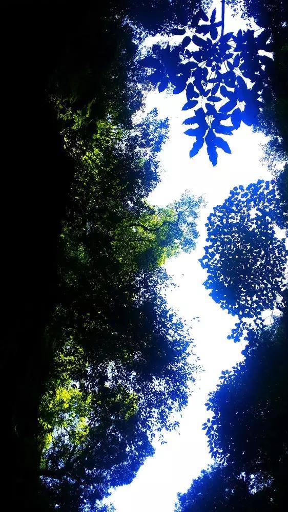 数学难题选关版